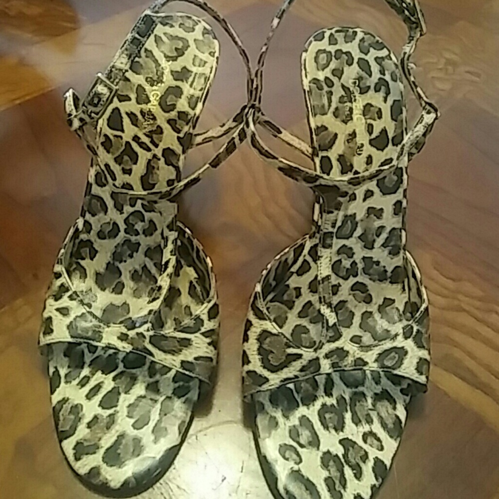 Dolce Gabbana